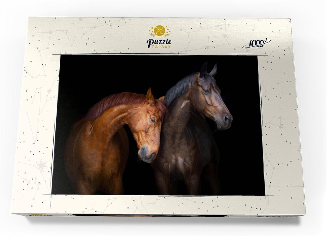 Zwei Pferde vor schwarzem Hintergrund - Premium 1000 Teile Puzzle - MyPuzzle Sonderkollektion von Pu
