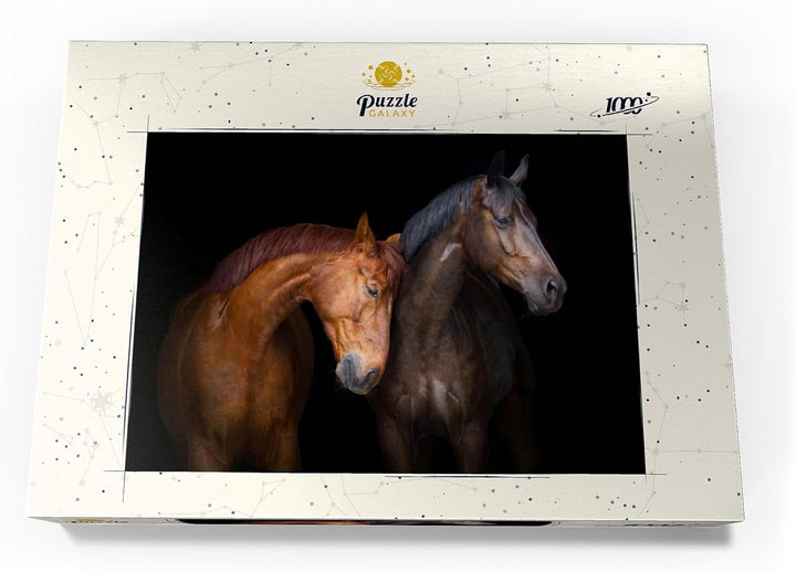 Zwei Pferde vor schwarzem Hintergrund - Premium 1000 Teile Puzzle - MyPuzzle Sonderkollektion von Pu