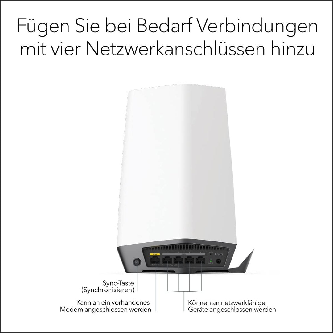 Netgear SXR80-100EUS Router (SXR80)