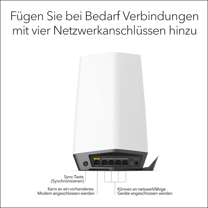 Netgear SXR80-100EUS Router (SXR80)
