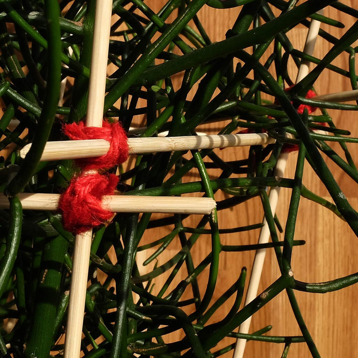 100 x Pflanzenstüze Tomatenstangen Rankgitter aus Holz Pflanzstab Rankstab 90 cm aus Bambus Ø 6 mm +