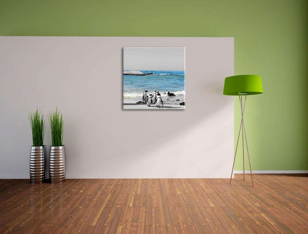 lustige Pinguine am Strand als Leinwandbild Quadratisch/Grösse: 70x70 / Wandbild/Kunstdruck/fertig b