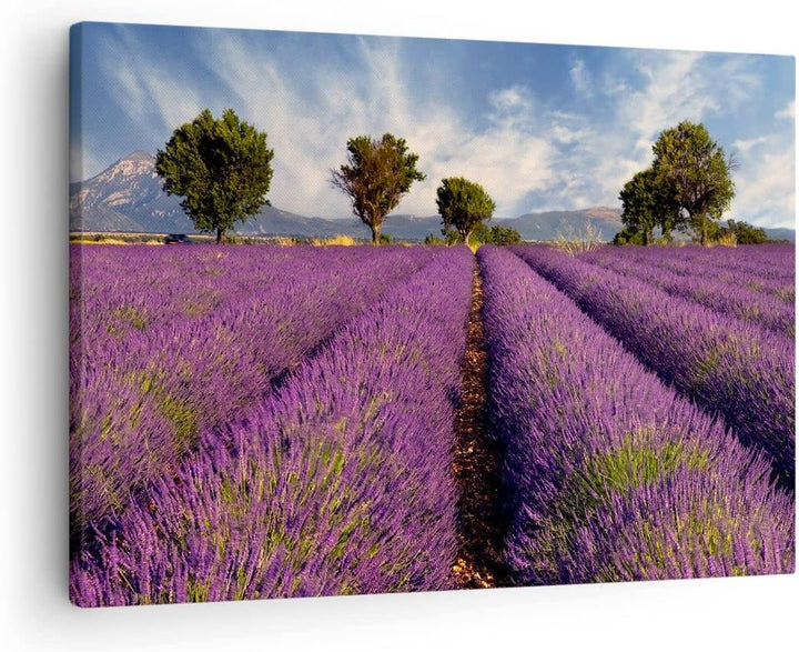 Bilder auf Leinwand Landschaft Wiese Pflanzen Leinwandbild 70x50cm Wandbilder Dekoration Wohnzimmer