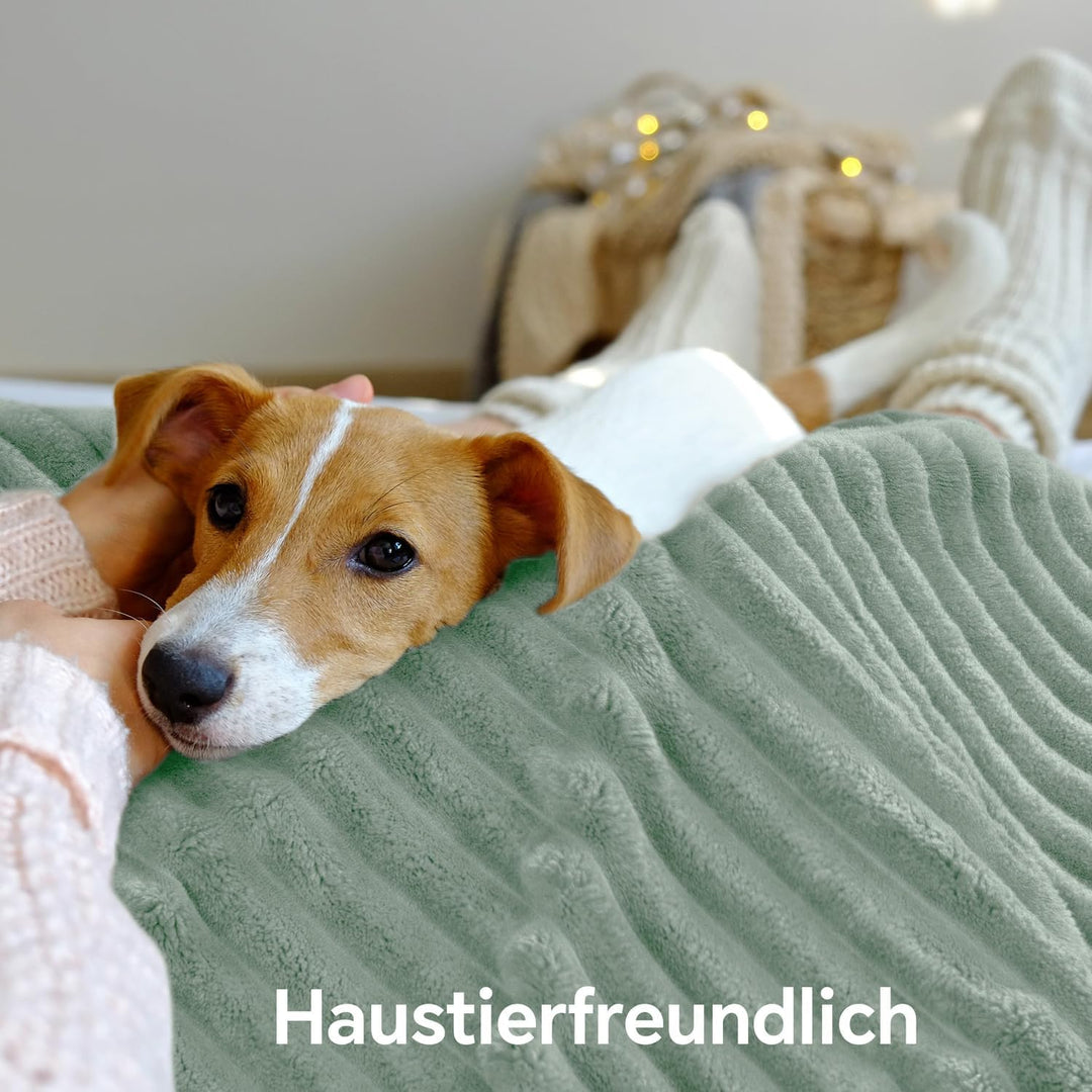 BEDELITE warme Decke Sherpa Kuscheldecke Flauschig Salbeigrün XXL 220x240 | dicke Deko Fleecedecke,
