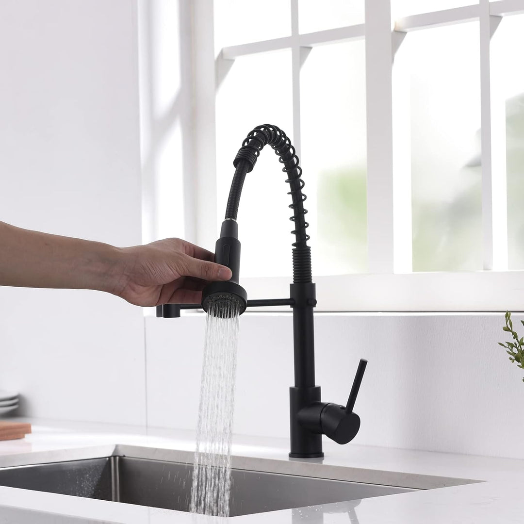 AIMADI Wasserhahn Küche, Küchenarmatur Ausziehbar mit 2 Strahlarten: Gesprüht & Strahl, Einhebelmisc