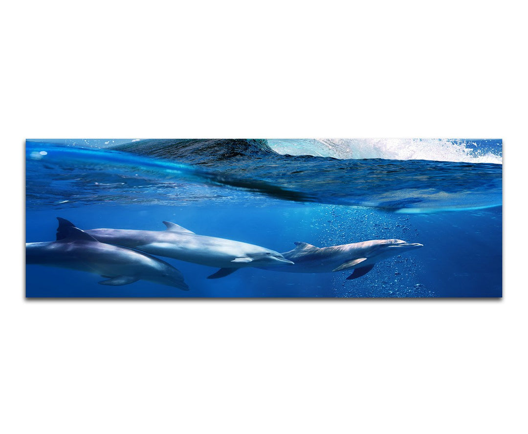 Paul Sinus Art Panoramabild auf Leinwand und Keilrahmen 150x50cm Ozean Welle Delfine Unterwasser