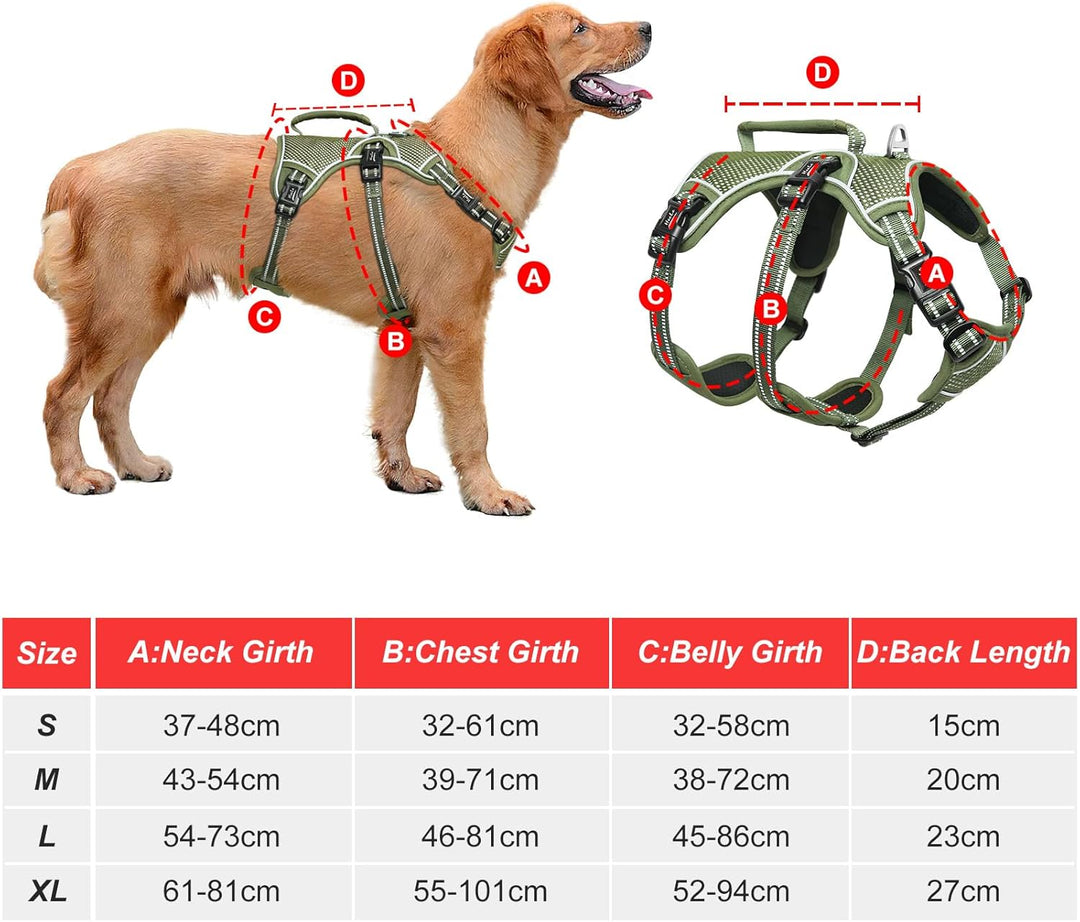 HEELE Hundegeschirr, Ausbruchsicher, Schnalle im Halsbereich, Reflektierend, Brustgeschirr mit Robus