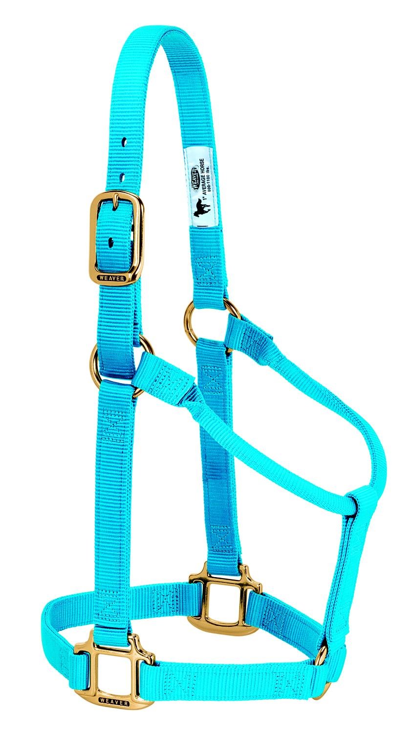WEAVER Leather, Nicht verstellbares Halfter Hurricane blau Large Horse, Hurricane blau Large Horse