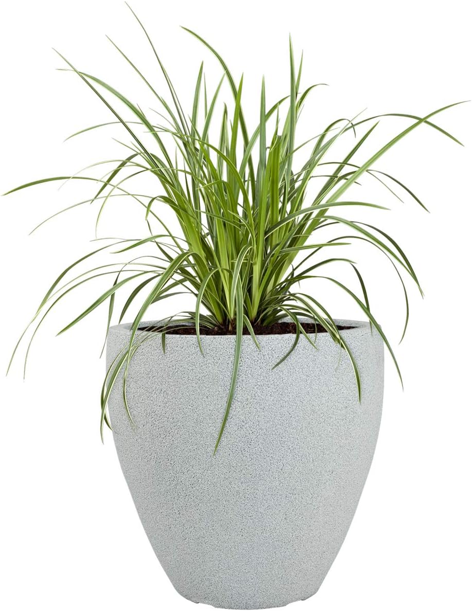 Pflanzwerk® Pflanzkübel Kunststoff Cup Grau Ø56cm Blumentopf *Frostbeständige Blumenkübel* *100% ÖKO