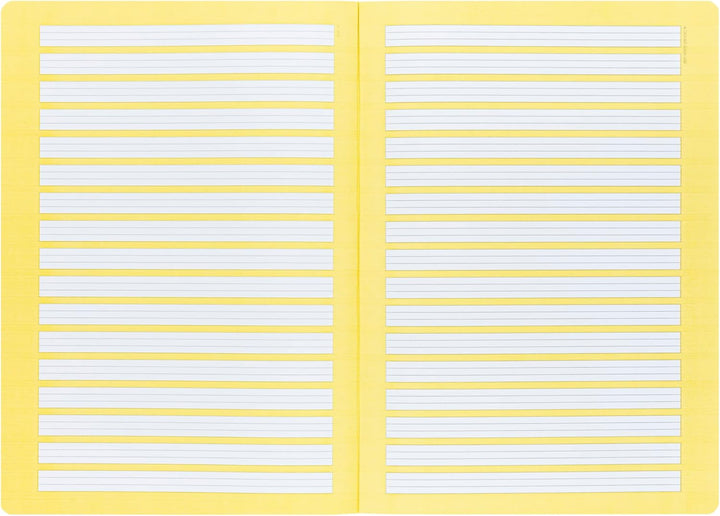 Oxford Schulheft A4, 16 Blatt, Lineatur 2, liniert, 15 Stück Single, Single