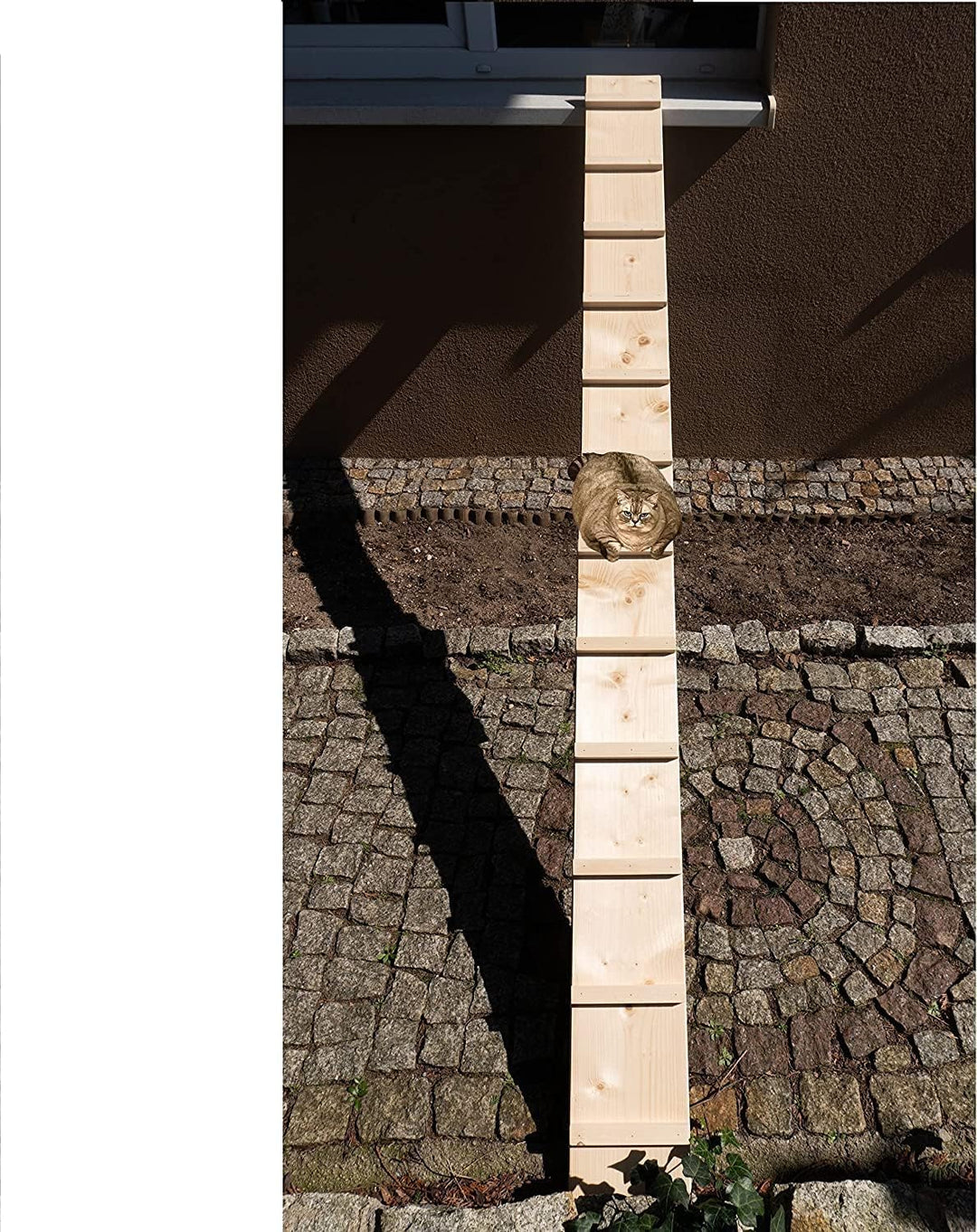 Katzenleiter Katzentreppe Katzenstufe für Balkon Treppe 1 m mit Metallhaken