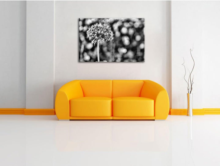 Pixxprint Pusteblume vor Wildwiese / 100x70cm Leinwandbild bespannt auf Holzrahmen/Wandbild Kunstdru
