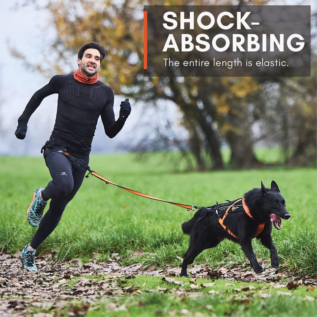 Non-stop dogwear Bungee Leash 2.0 | 2,8m | 1641 | bikejøring, Scootering, skijøring