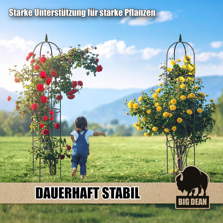 BigDean Rankgitter Metall Rosen Spalier 1,93 hohe Rankhilfe Garten