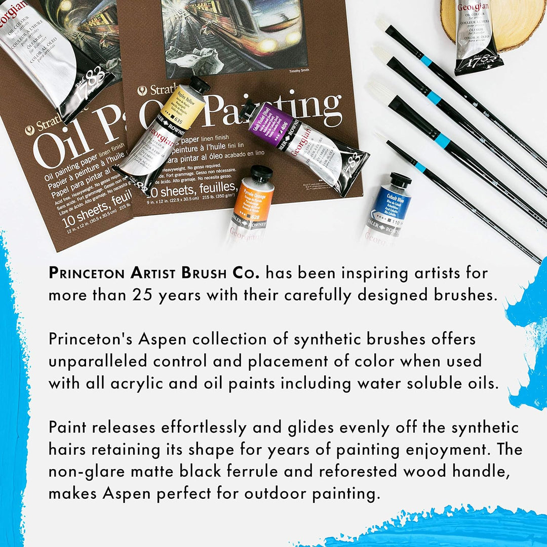 Princeton Aspen, Glare-Free Indoor/Outdoor Brush for Acrylic &amp; Oil, Series 6500 Synthetic, Flat Mott