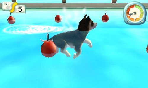 Pets Paradise Resort 3D