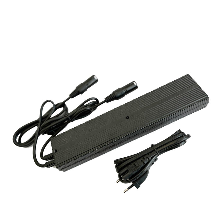 Enerpower Li-Ion Duales Ladegerät 36V ersetzt Derby Cycle Impulse 2A -XLR-4 für Kalkhoff, Raleigh Do