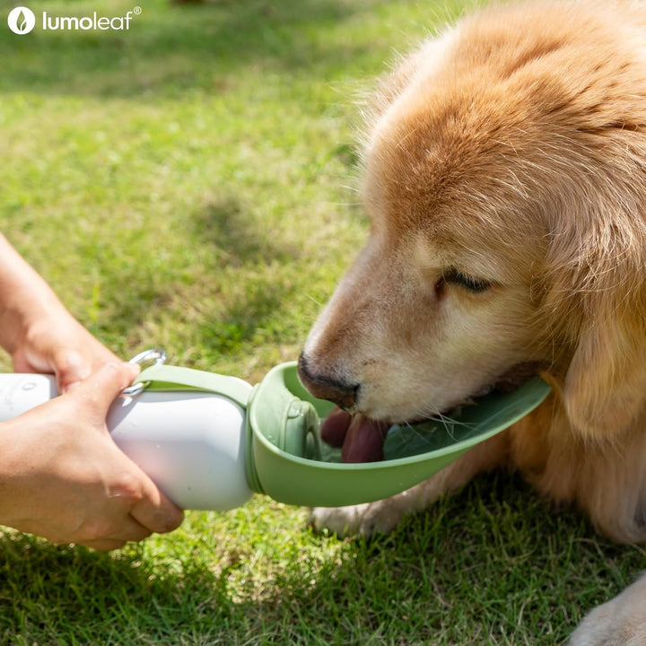 LumoLeaf Isolierte Edelstahl-Wasserflasche für Hunde, 800 ml – Hält Wasser stundenlang kühl oder war