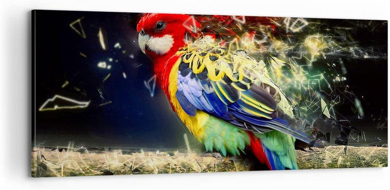 Panorama Bilder auf Leinwand 100x40cm Leinwandbild Papagei Vogel Feder Gross Wanddeko Bild Schlafzim