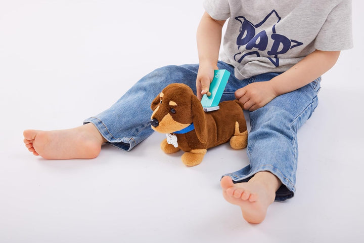 Hape Tierarzt-Set, Interaktiver Hund mit tragbarer Hundehütte, viel Zubehör, ab 3 Jahren