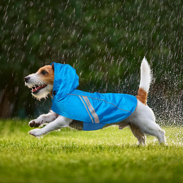 VIVAGLORY Hunderegenmantel für grosse Hunde, leicht an- und ausziehbare Regenbekleidung, reflektiere