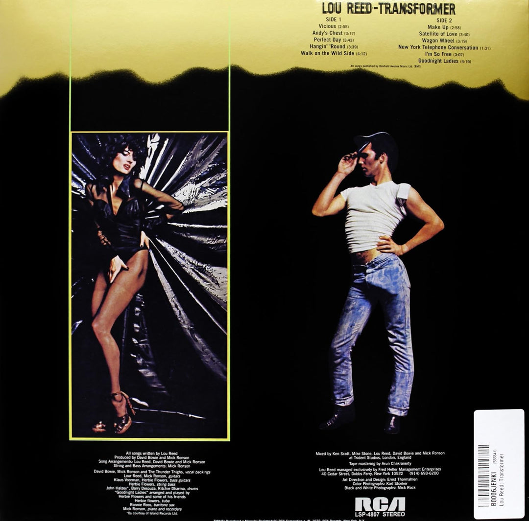 Transformer, Vinyl
