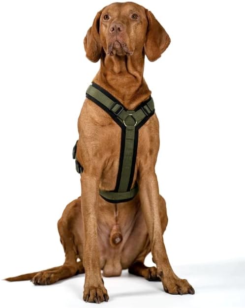 Wowwow Innovatives Hundegeschirr mit Integrierter Leine | Grössenverstellbar, bis 150kg Zugkraft | N