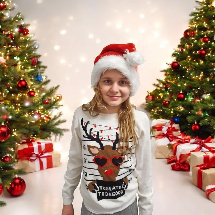 5 Stück Weihnachtsmütze Mütze Weihnachten Weich Nikolausmütze Dicker Fellrand aus Plüsch Top Qualitä