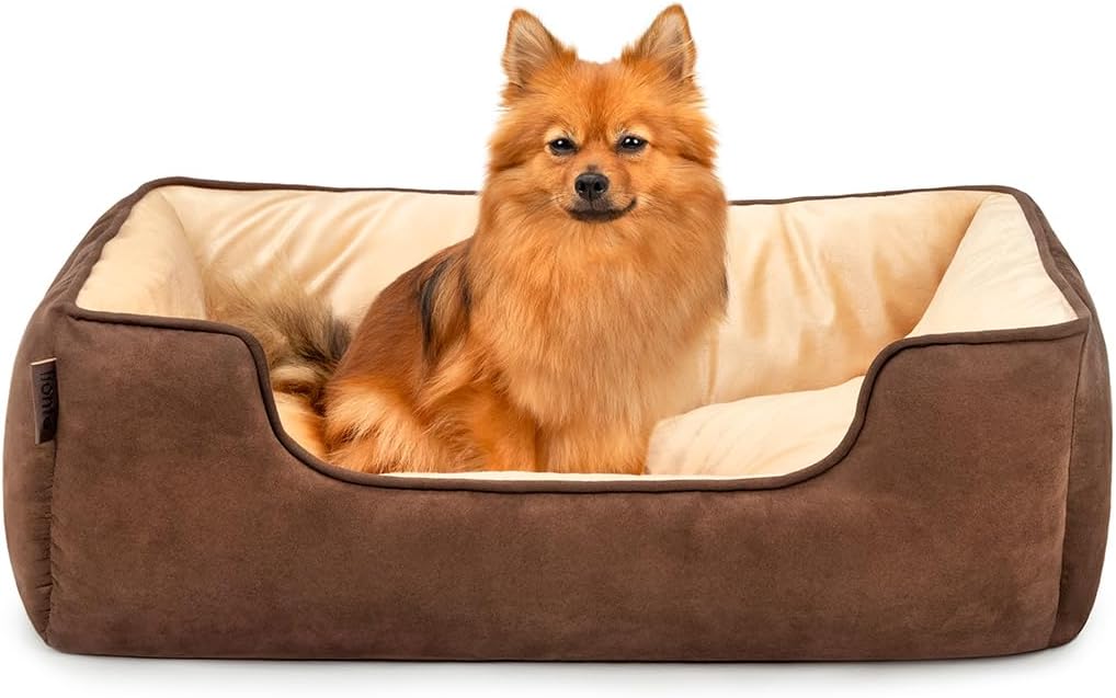 lionto 2-in-1 Hundebett Hundekissen Hundekörbchen Hundesofa, (M) 80x60 cm braun/beige L 80 x B 60 x