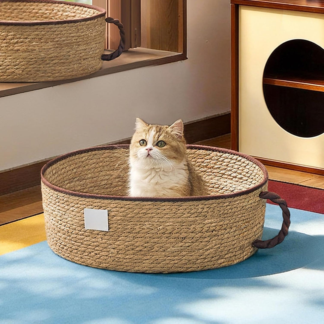 Generisch Katzenbett,Süsses Schlafnest für Kätzchen | Handgeflochtener Baumwoll-Korb für Haustiere |