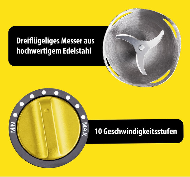CARRERA Stabmixer [10 Geschwindigkeiten] Pürierstab - Hand Blender - Mixstab Set - Edelstahl - Rührs