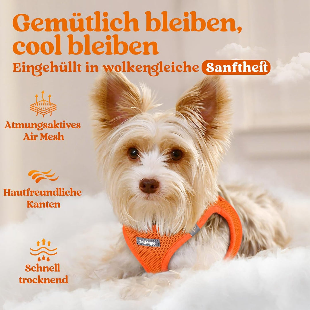 rabbitgoo Hundegeschirr Kleine Hunde, Step-in Welpengeschirr Weich Mesh für Spaziergänge, Atmungsakt