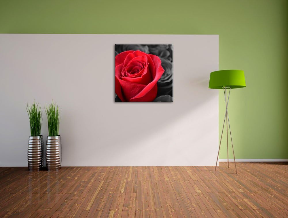 Pixxprint Romantische Rosen als Leinwandbild Quadratisch/Grösse: 70x70 / Wandbild/Kunstdruck/fertig