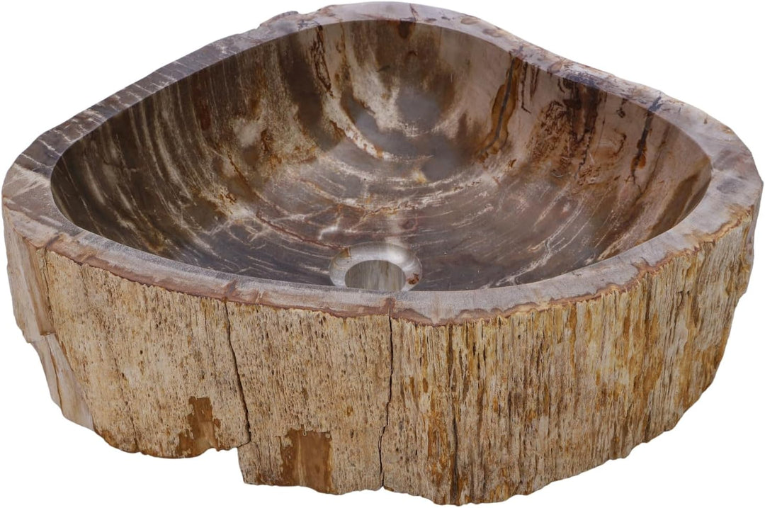 GURU SHOP Massives Fossiles Holz Aufsatz-Waschbecken, Waschschale, Naturstein Handwaschbecken - Mode
