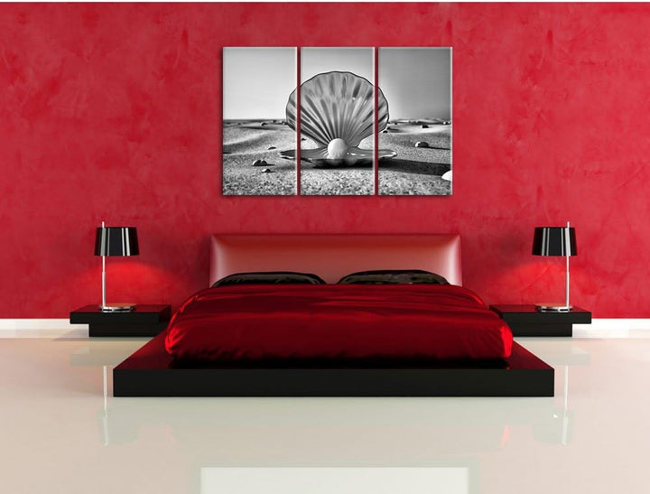 Pixxprint Monocrome, Perlenmuschel am Strand 3-Teiler Leinwandbild 120x80 Bild auf Leinwand