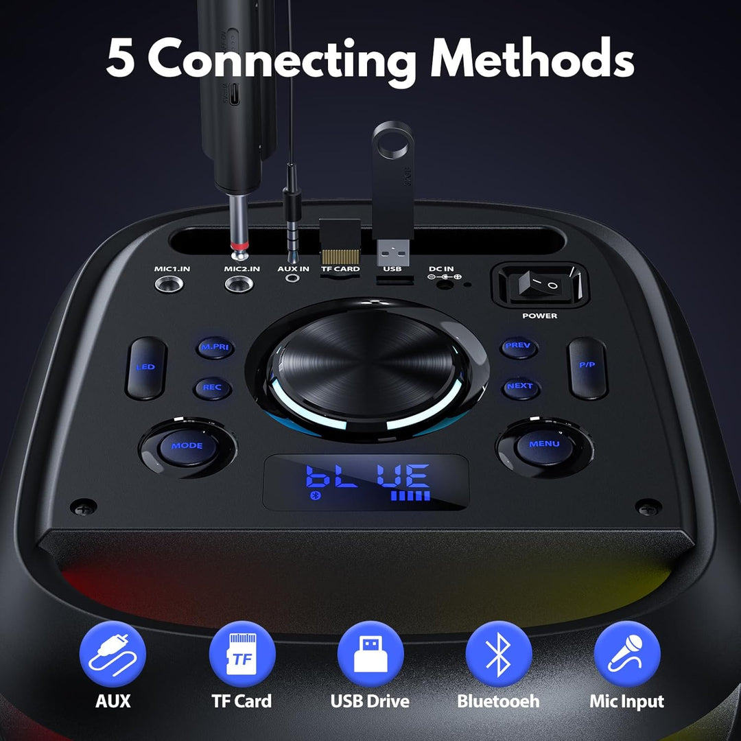 HWWR Karaoke Maschine mit 2 Mikrofones, grosser Tragbaren Bluetooth Karaoke Lautsprecher mit Diaco L