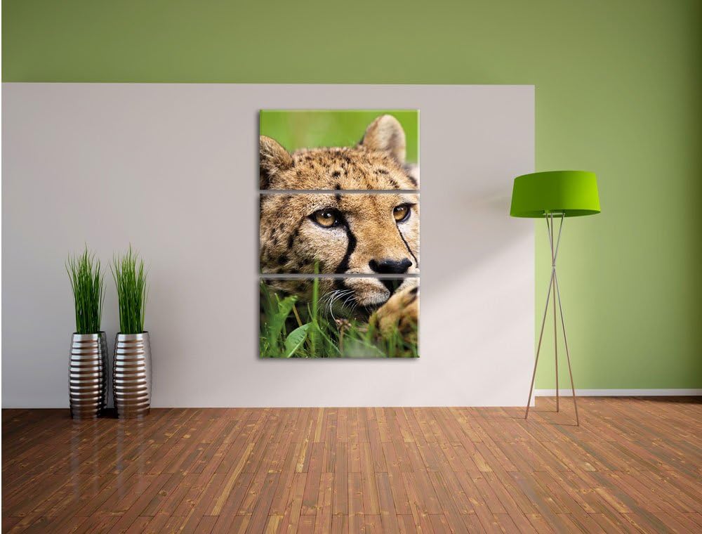 Pixxprint Gepard im Gras als Leinwandbild/Grösse: 3 Teilig (120x80) cm/Wandbild/Kunstdruck/fertig be