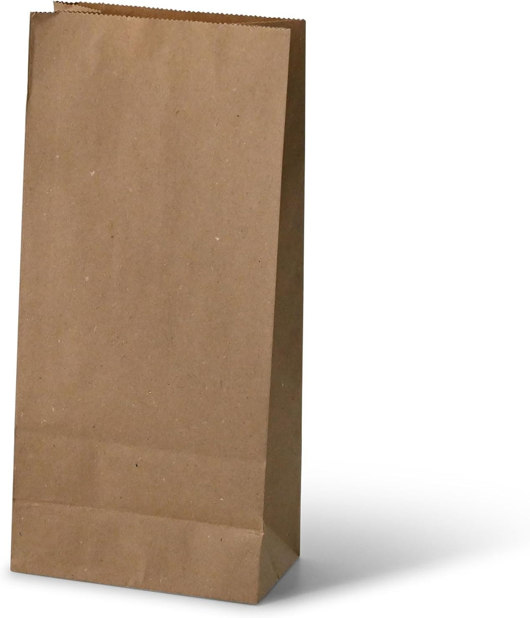 BIOZOYG Kraftpapier Tüten I Braune Papiertüten Geschenktüten Bio I Papier Tüte mit Boden recyclebar