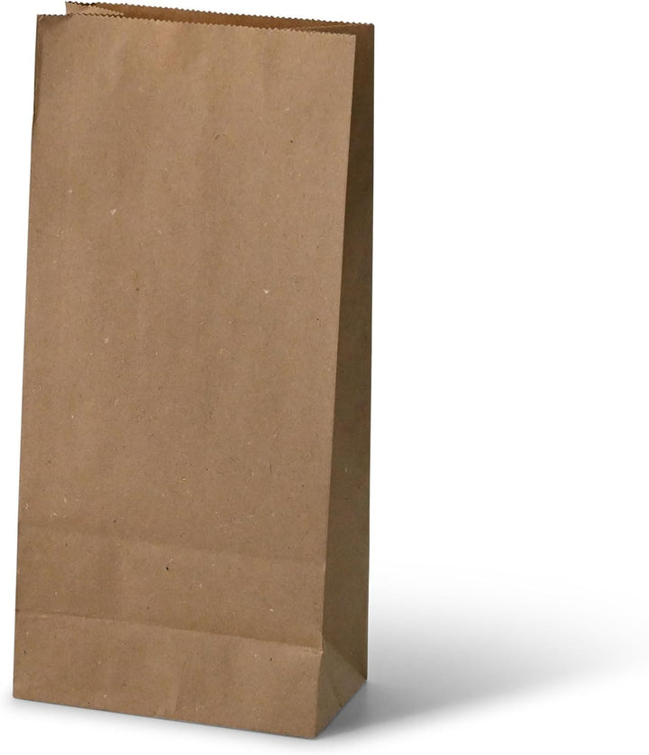 BIOZOYG Kraftpapier Tüten I Braune Papiertüten Geschenktüten Bio I Papier Tüte mit Boden recyclebar