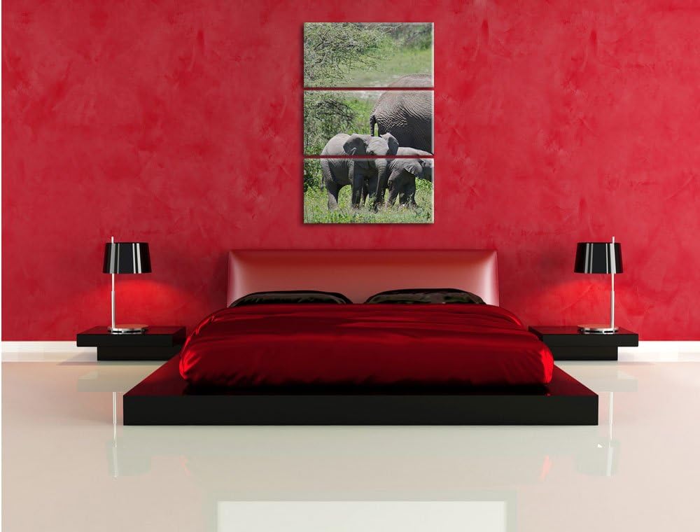 Pixxprint Süsse Elefanten Babys 3-Teiler Leinwandbild 120x80 Bild auf Leinwand