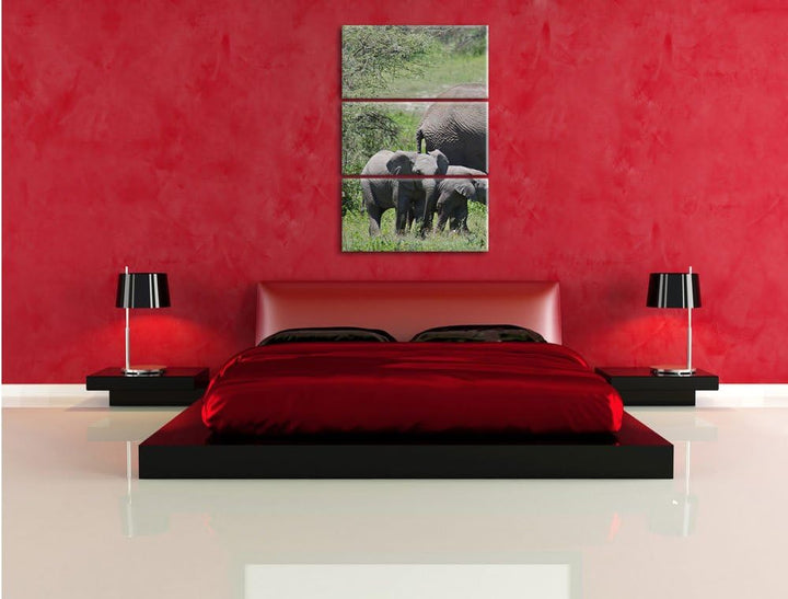 Pixxprint Süsse Elefanten Babys 3-Teiler Leinwandbild 120x80 Bild auf Leinwand