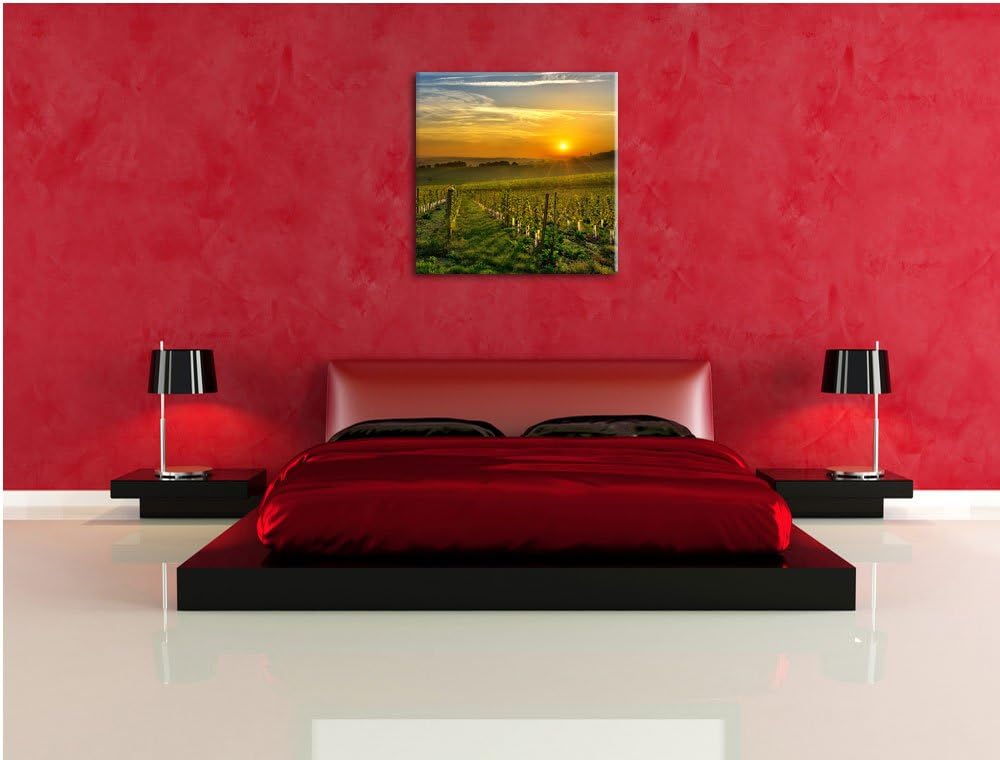 Pixxprint Weinberg in Bergerac Frankreich, Format: 70x70 auf Leinwand, 70x70