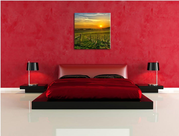 Pixxprint Weinberg in Bergerac Frankreich, Format: 70x70 auf Leinwand, 70x70