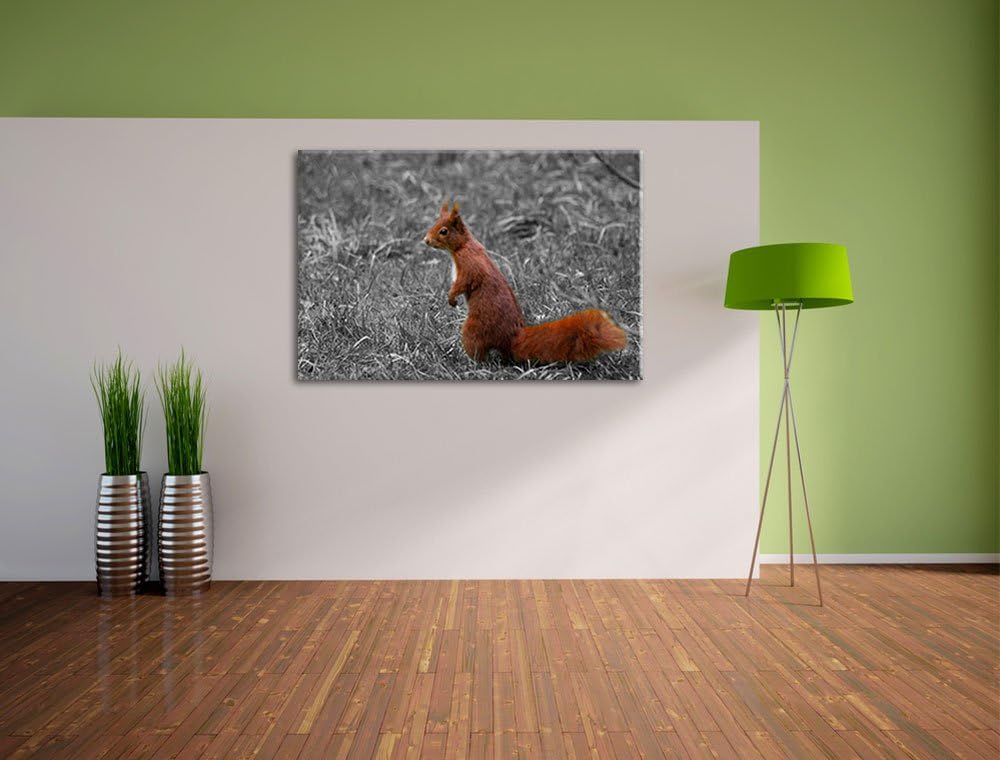 kleines Eichhörnchen auf Waldboden schwarz/weiss auf Leinwand, XXL riesige Bilder fertig gerahmt mit