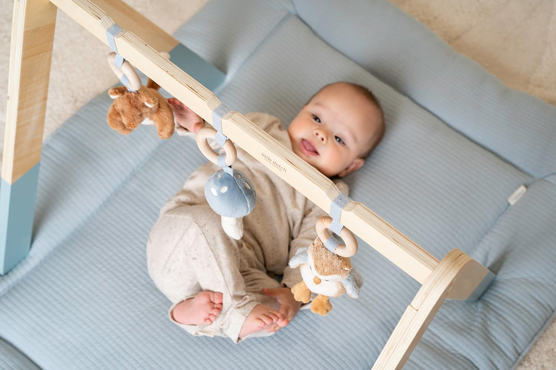 Little Dutch 8910 Holz Baby Gym Spieltrapez mit Stoff Anhängern - Forest Friends