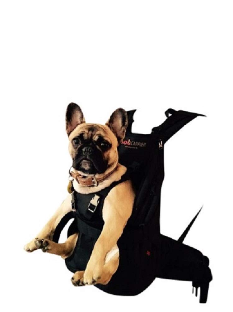Small PREMIUM Hundetasche als Hunderucksack / Rucksack für Hunde / Hundetrage / Hundetragetasche / H