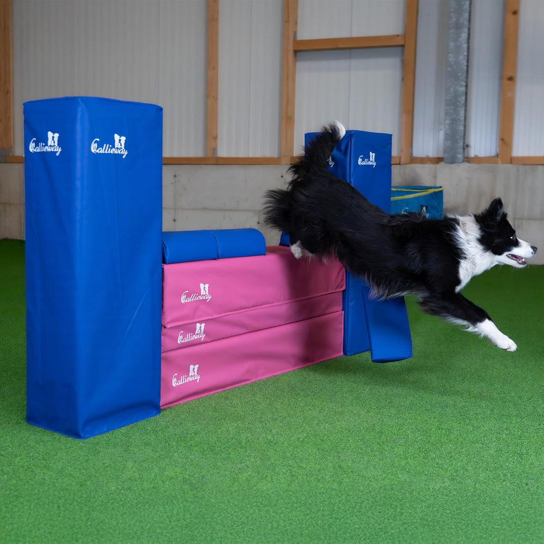 Callieway Turnier Agility Mauer „Bounce Over - Soft“ – alle FCI Sprunghöhen (Fuchsia/blau), fuchsia/