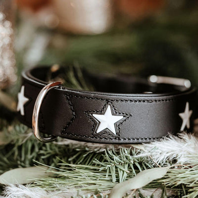 HUNTER MAGIC STAR Hundehalsband, mit Sternen, Leder, weich, 60 (M-L), schwarz schwarz 60 (M-L), schw