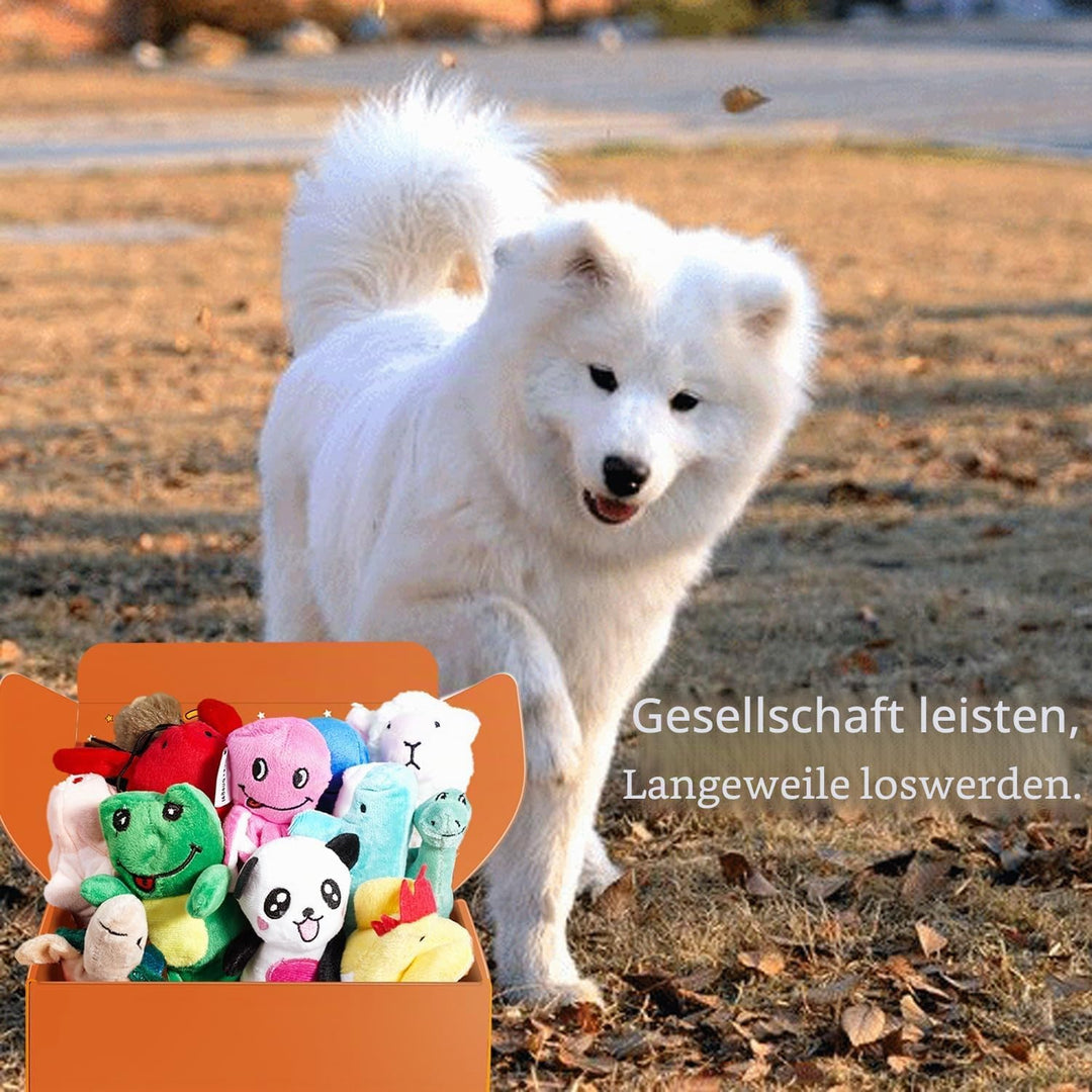 LEGEND SANDY Quietschendes Plüsch-Hundespielzeug-Set für Welpen, kleine gefüllte Welpen, Kauspielzeu