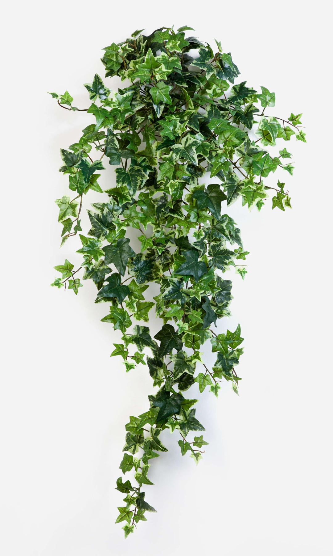 artplants.de Künstliche Efeu Ranke Luka, 356 Blätter, weiss - grün, 90cm - Kunst Efeu - Efeu künstli